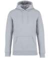 NS401 Unisex Heavyweight Hooded Sweatshirt Aquamarine colour image